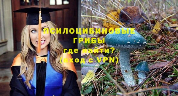бутират Осинники