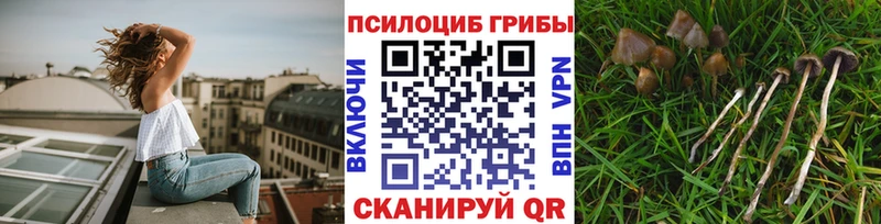 Галлюциногенные грибы ЛСД  Бабушкин 